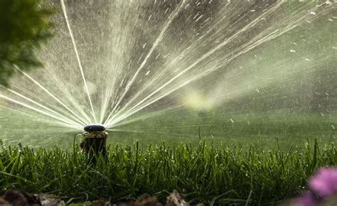 Black diamond sprinklers livonia mi Find company research, competitor information, contact details & financial data for Black Diamond Sprinklers LLC of Livonia, MI